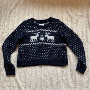 Abercrombie & Fitch Cropped Winter Sweater